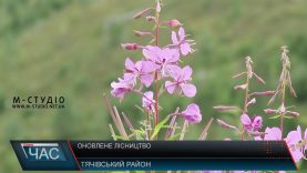 Закарпатські лісівники зможуть працювати у гідних умовах