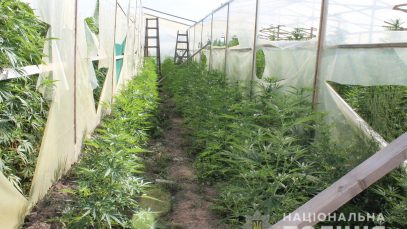 41530574_495477890955520_4908857962438590464_n