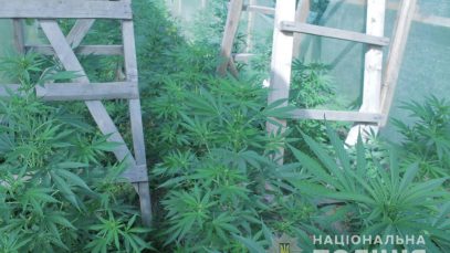 41530620_1168792443298210_8331610884879155200_n