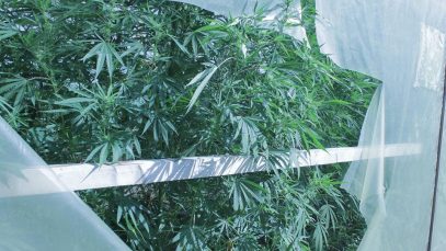 41536599_294305231168597_4636604808793423872_n