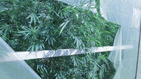 41536599_294305231168597_4636604808793423872_n