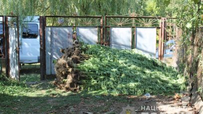 41564794_1885452185096646_5986780563439091712_n