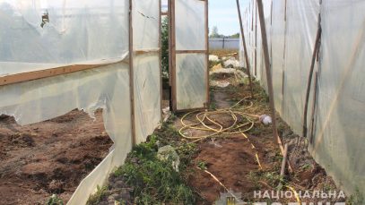 41616329_2294300727465325_5347630932339720192_n