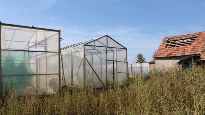 41632343_294305224501931_6833872904485076992_n