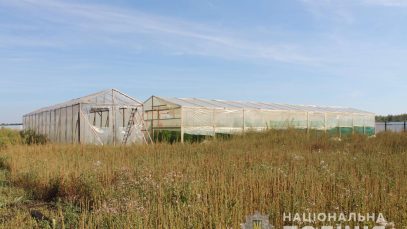 41654595_2352374868111922_5288922740902854656_n