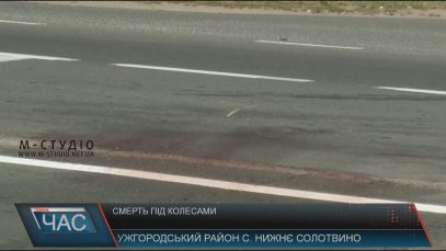 Водій-іноземець, який збив школярку з Ужгородського району, намагався втекти на іншій машині