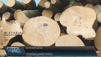 Жителі Воловеччини на зиму вже запасаються дровами