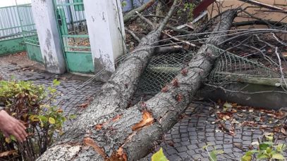 44715864_1156271531202056_1309081580571983872_n