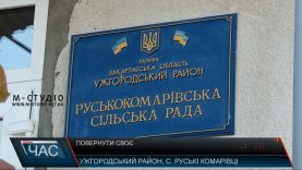 88-річна жителька Ужгородщини бореться за свої 25 соток землі