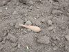 IMG-06b9d31747d2940c873d88d15f229caf-V