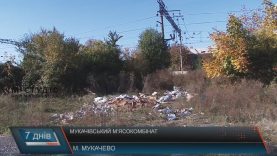 Колись успішне підприємство з Мукачева заполонили безхатьки і наркомани