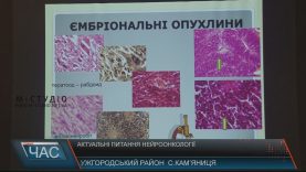 Перша міжнародна конференція з питань нейроонкгології триває в Ужгороді