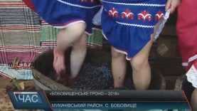 Раритетним трактором і байкерським мотоциклом везли вино на «Бобовищенське гроно»