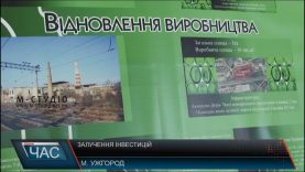 У розвиток виноробства на Закарпатті готові інвестувати Нідерланди