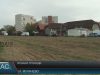В мукачівському Росвигові з невідомих причин зрізали алею троянд