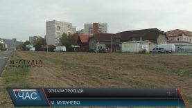 В мукачівському Росвигові з невідомих причин зрізали алею троянд