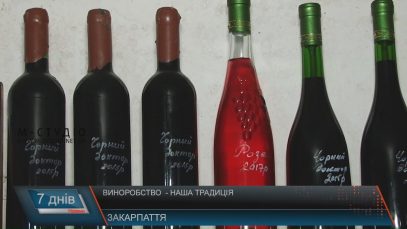 Відродження виноробства на Закарпатті: перші кроки