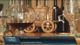 Виноробство на Закарпатті отримало новий поштовх для розвитку