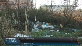 Звалище у Росвигові комунальники не прибирають, бо воно на орендованій ділянці