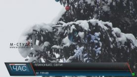 Новорічну ялинку, яка стоїть у центрі Тячева, привезли не з лісу