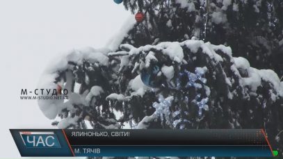 Новорічну ялинку, яка стоїть у центрі Тячева, привезли не з лісу