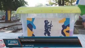 Сила в єдності: закарпатці відзначили день волонтера