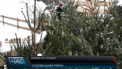 Торгівлю легальними ялинками розгорнули на Воловеччині біля перевалу