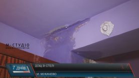 У п’ятиповерхівці в Мукачеві через дірявий дах два поверхи заростають цвіллю