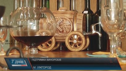 Народні депутати від Закарпаття ініціювали кілька законопроектів на підтримку виноробів