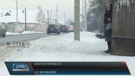 Околиці Мукачева перетворилися на «льодовий палац»