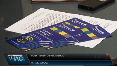 Закарпатські стартапи можуть отримати підтримку Дунайської транснаціональної програми