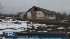 Чотирьох розбійників з Іршавщини суд взяв під варту без застави