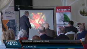 На Закарпатті щороку стається близько 3 тисяч інсультів