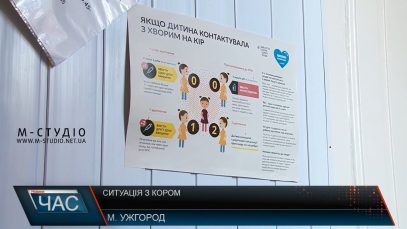 На Закарпатті з початку року 700 людей захворіли на кір