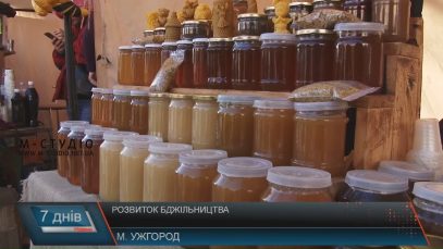 На Закарпатті зараз є майже 70 тисяч бджолиних сімей