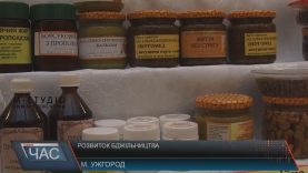 Стратегію збереження карпатської бджоли обговорили в Ужгороді
