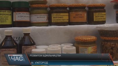 Стратегію збереження карпатської бджоли обговорили в Ужгороді