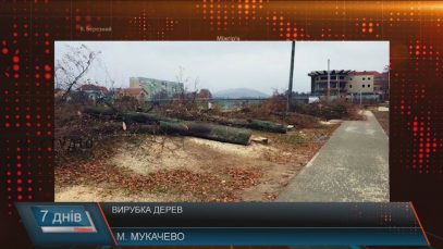 В Мукачеві досі з’ясовують, чому зрубали дерева у парку Валенберга