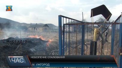 300 гектарів сухої рослинності вже знищили цієї весни закарпатці