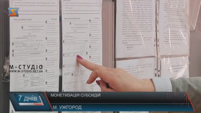 Майже 40 тисяч закарпатських родин отримають субсидії готівкою