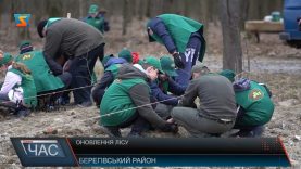 На Берегівщині школярі долучилися до акції лісівників «Майбутнє лісу у твоїх руках».