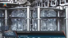 На Закарпатті є 382 види мінеральних вод