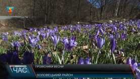 Провісники весни