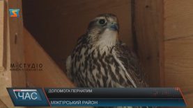 Птахів із реабілітаційного центру НПП «Синевир» випускають на волю