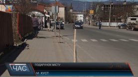 У Хусті висадили молоді дерева