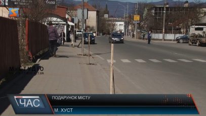 У Хусті висадили молоді дерева