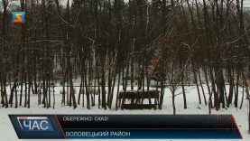 У Воловецькому районі виявили сказ у лисиць