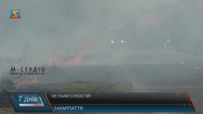Закарпатці наражають на небезпеку себе і своїх дітей, бо “дід так робив”