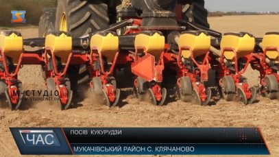 На Мукачівщині сіють кукурудзу