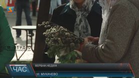 Православні і греко-католики святкують Вербну неділю